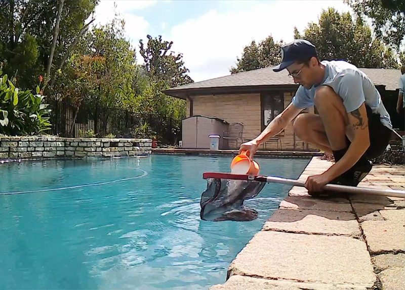 proyecto de mantenimiento de piscinas en Leesburg